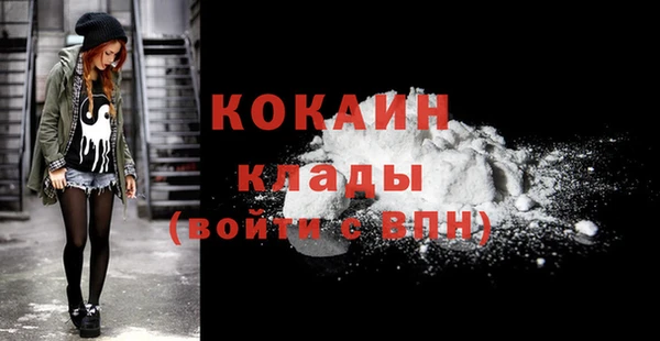 гидра Михайловка