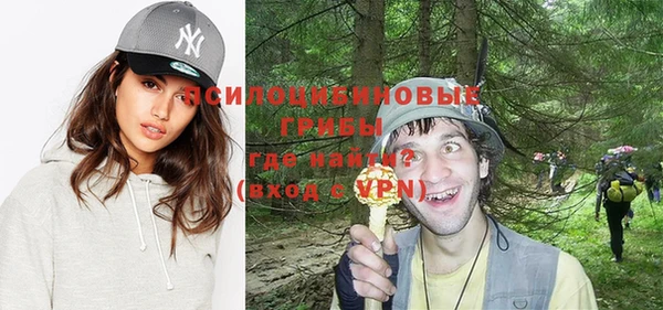прущая мука Надым