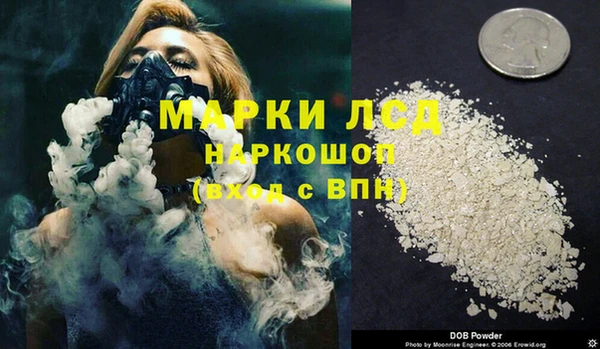 гидра Михайловка