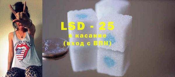 гидра Михайловка