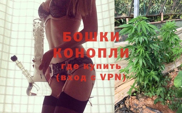 гидра Михайловка