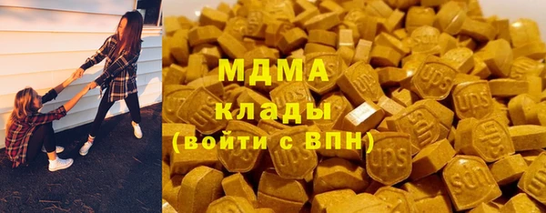 гидра Михайловка