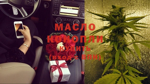 гидра Михайловка