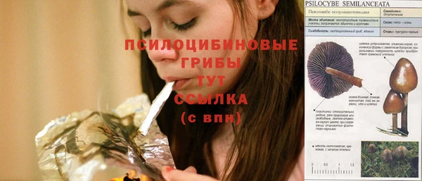 кокс Михайловск