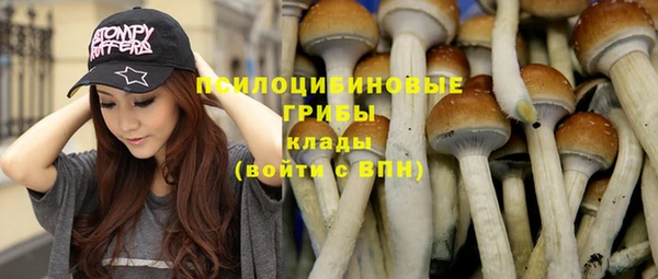 прущая мука Михайлов