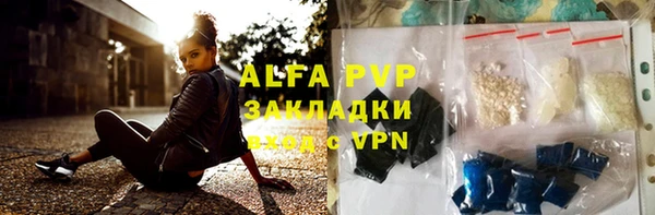 гидра Михайловка